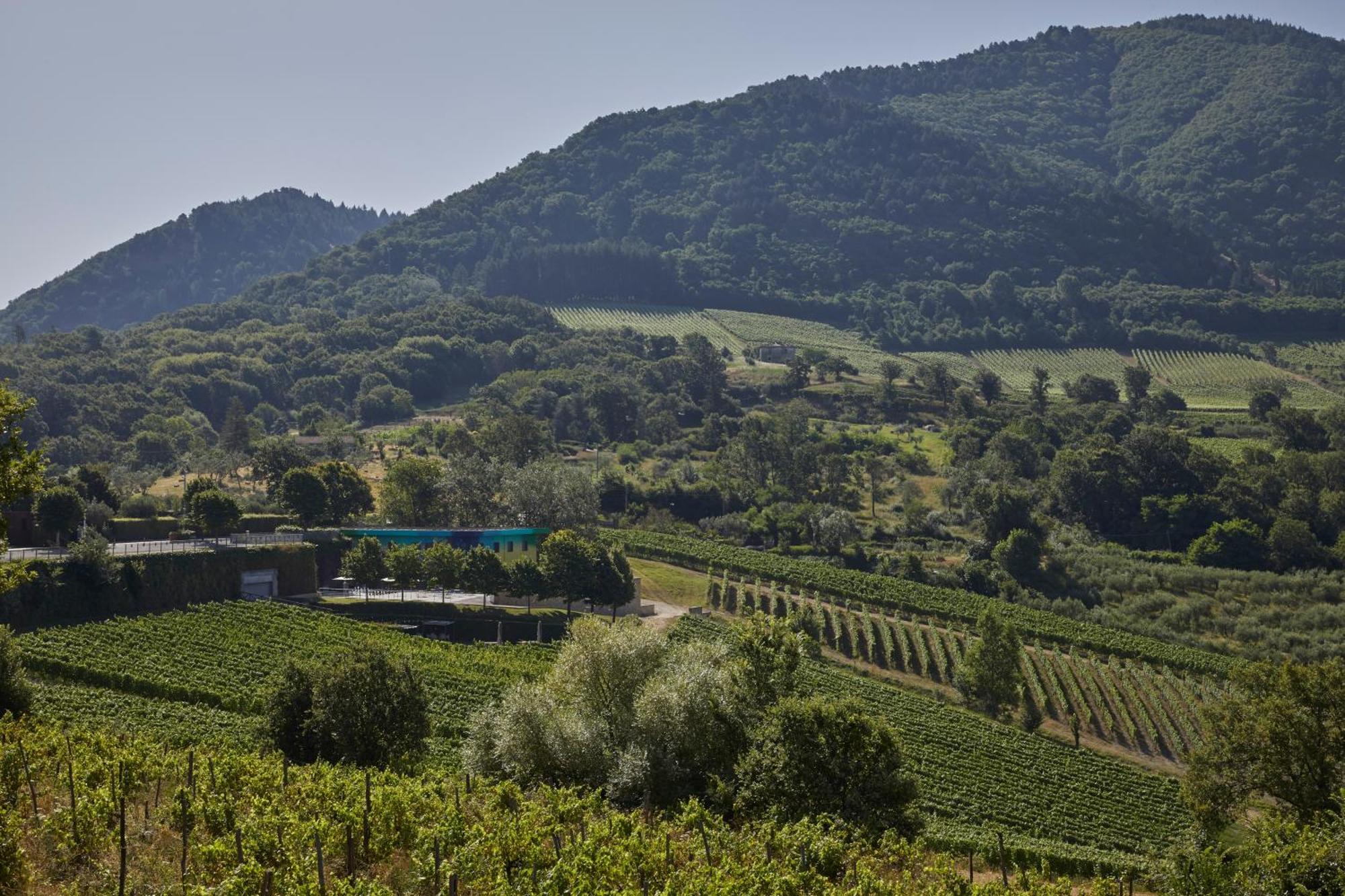 Borgo San Gregorio Βίλα Sorbo Serpico Εξωτερικό φωτογραφία
